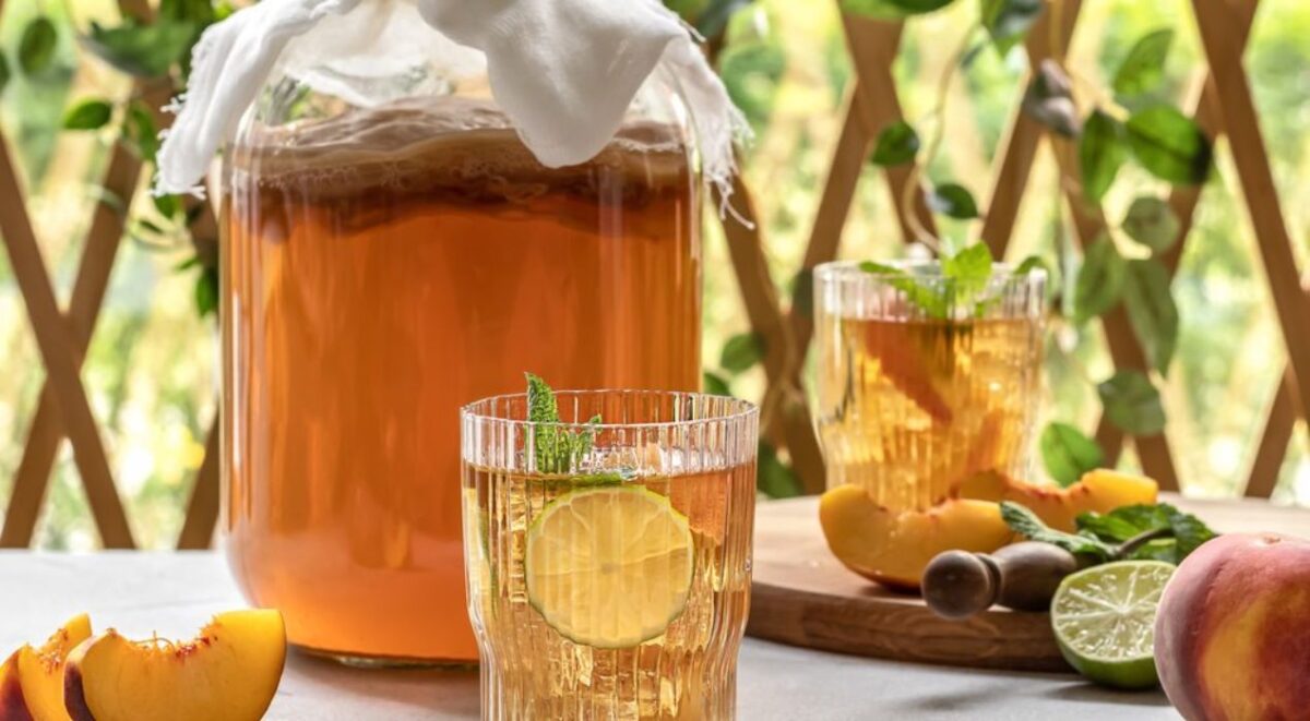 اسعار ومواصفات افضل منتجات شاي الكامبوتشا من اي هيرب