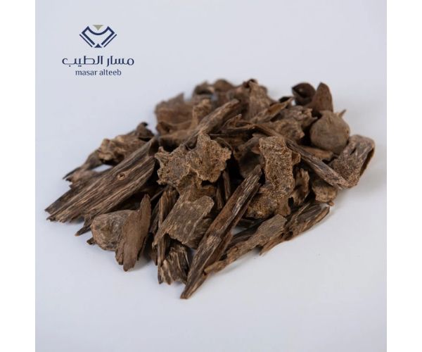 العود الغطاس