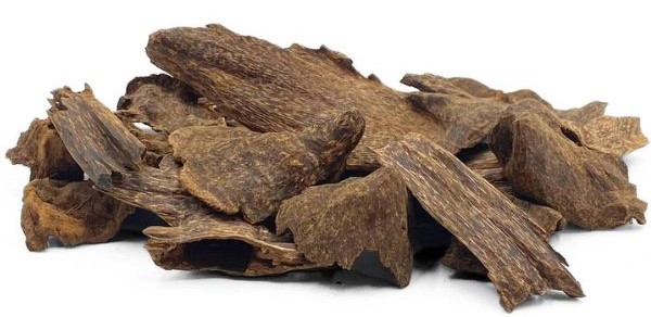 العود الغطاس