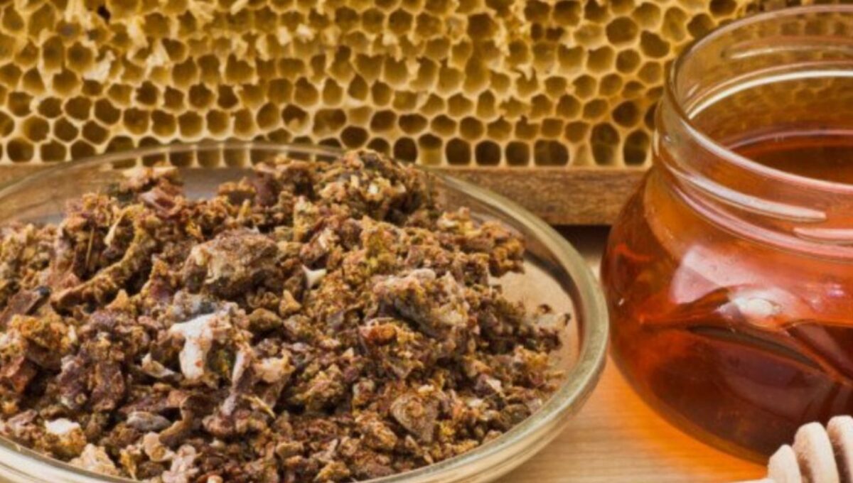 فوائد العكبر الصحية للرجال والنساء مع دواعي استعماله